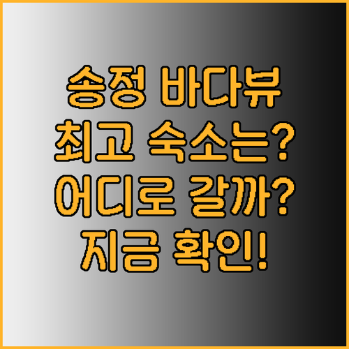 송정 바다뷰 숙소 탐방기 어디가 제일