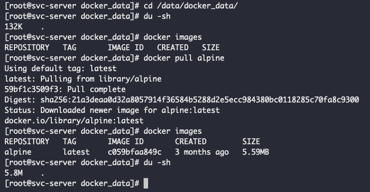 2.5 도커(Docker) Pull 확인