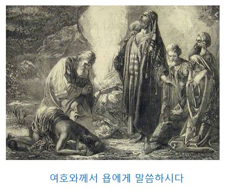욥기 39장
