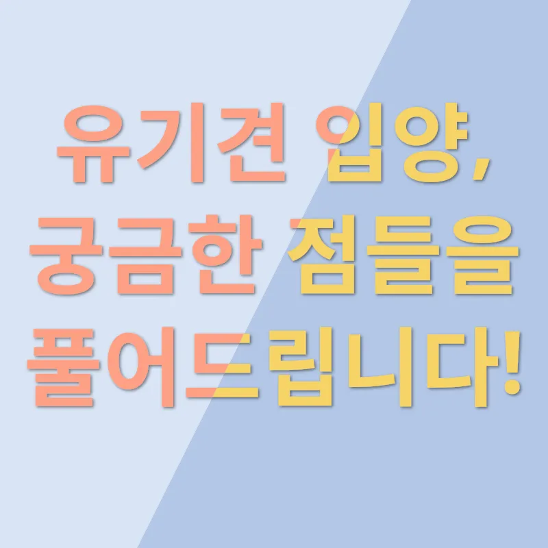 유기견 입양_4