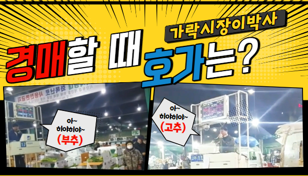  과연 "가락시장이박사"의 호가는 [히야히야] 맞을까?