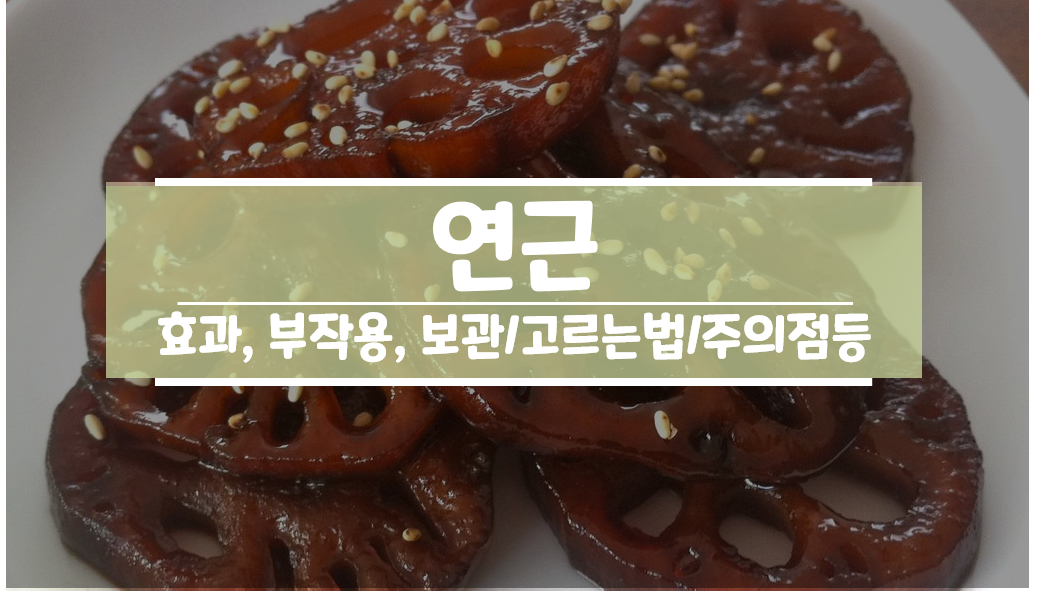 연근 효능 부작용