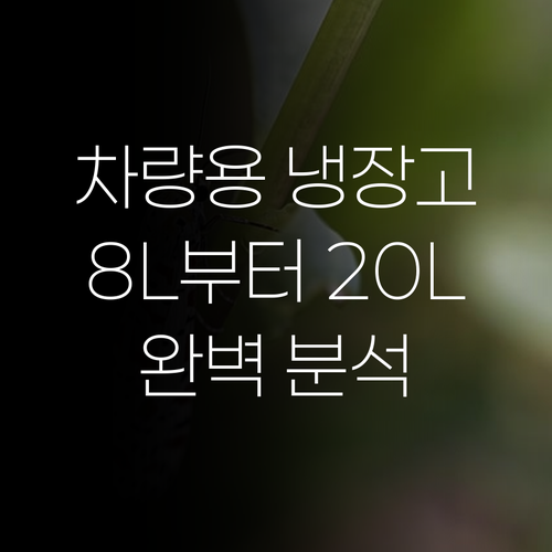 가정용 차량용 휴대용 냉장고 8L부터