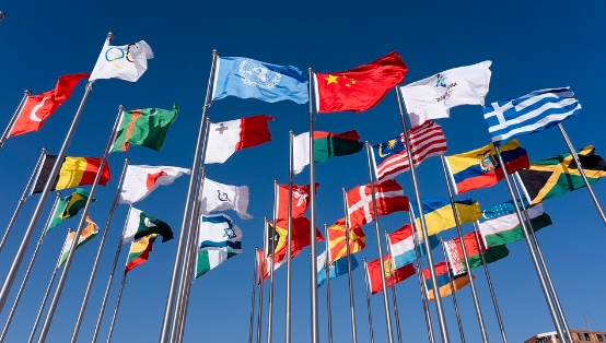 안전보장이사회 공개회의