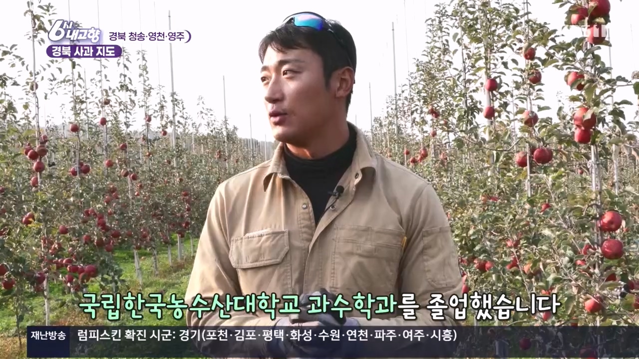 6시 내고향.E7907.231108p.H264-F1RST.mp4_20231108_204435.283.jpg