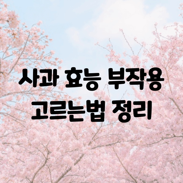  사과 효능 및 부작용, 영양정보와 고르는법 정리