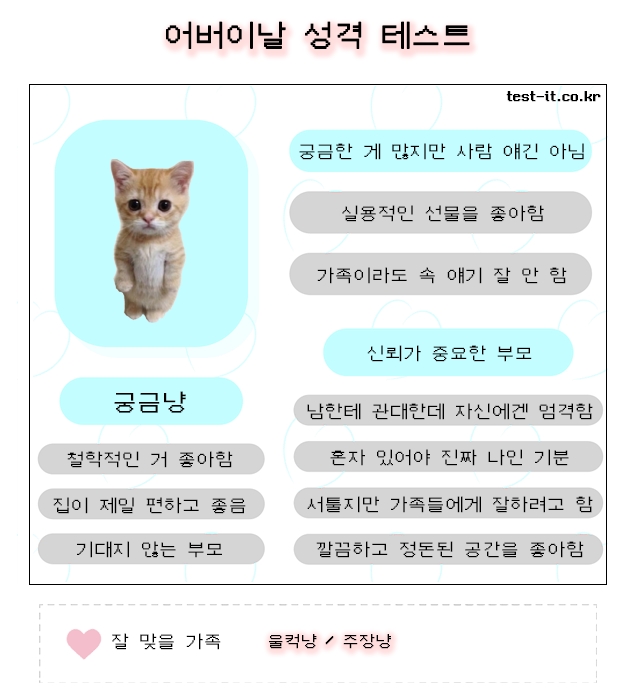 어버이날 성격 테스트