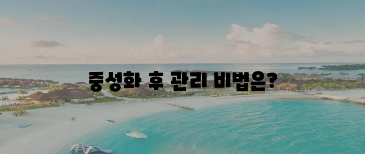 중성화수술 후 고양이 관리 필수 가이드로 건강과 행복을 챙기세요!