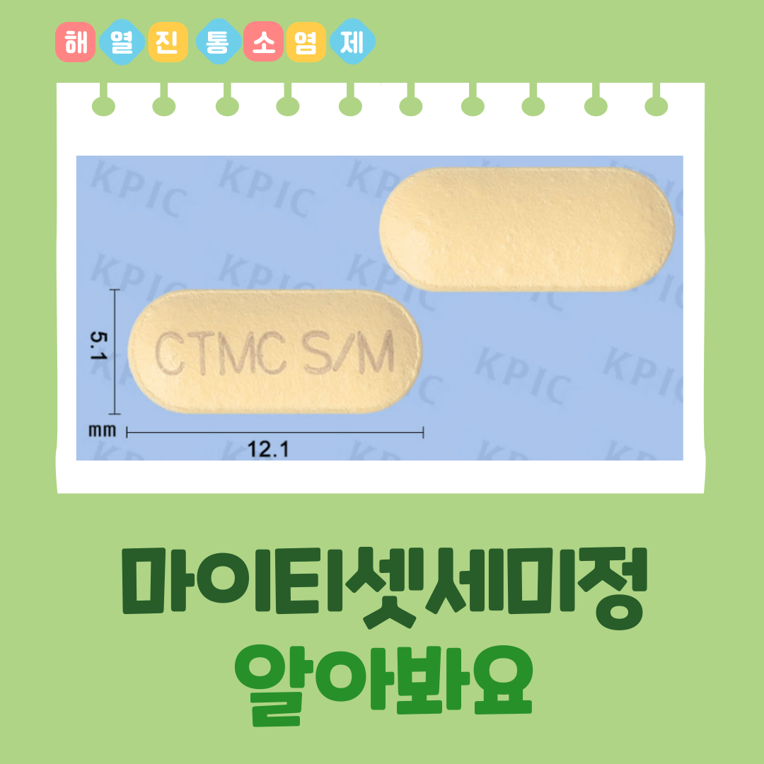 마이티셋세미정