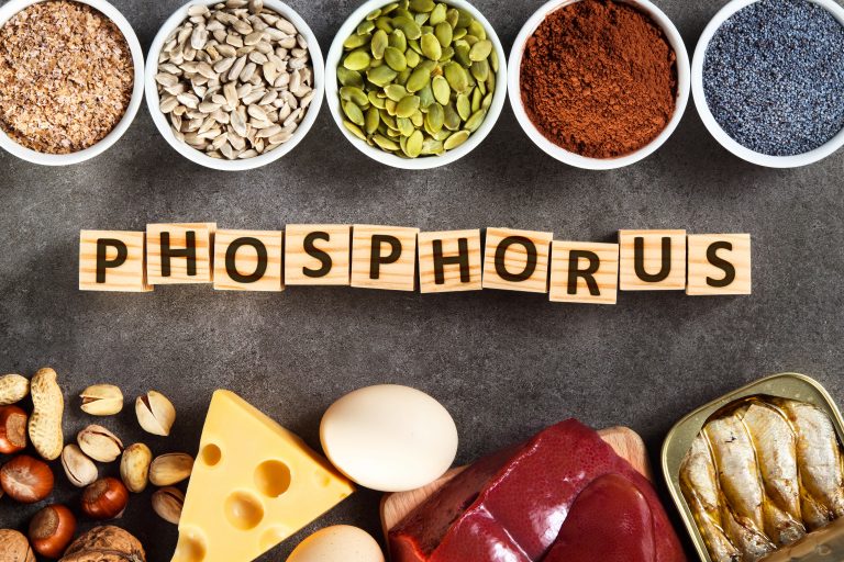인 최고음식 Top5&#44; Best Phosphorus food