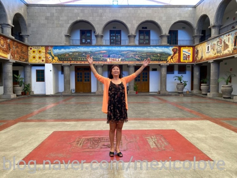 또날라 할리스코 24