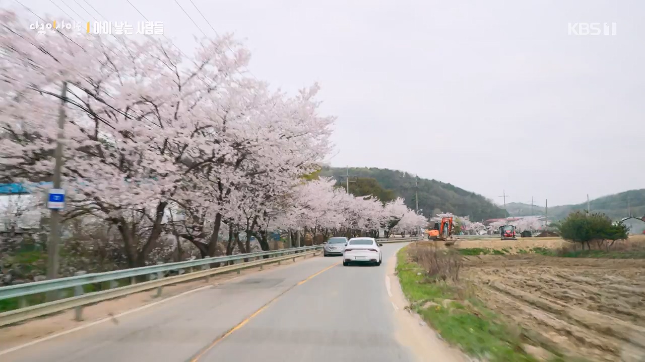 다큐 인사이트.E192.240614p-NEXT.mp4_20240615_013539.638.jpg