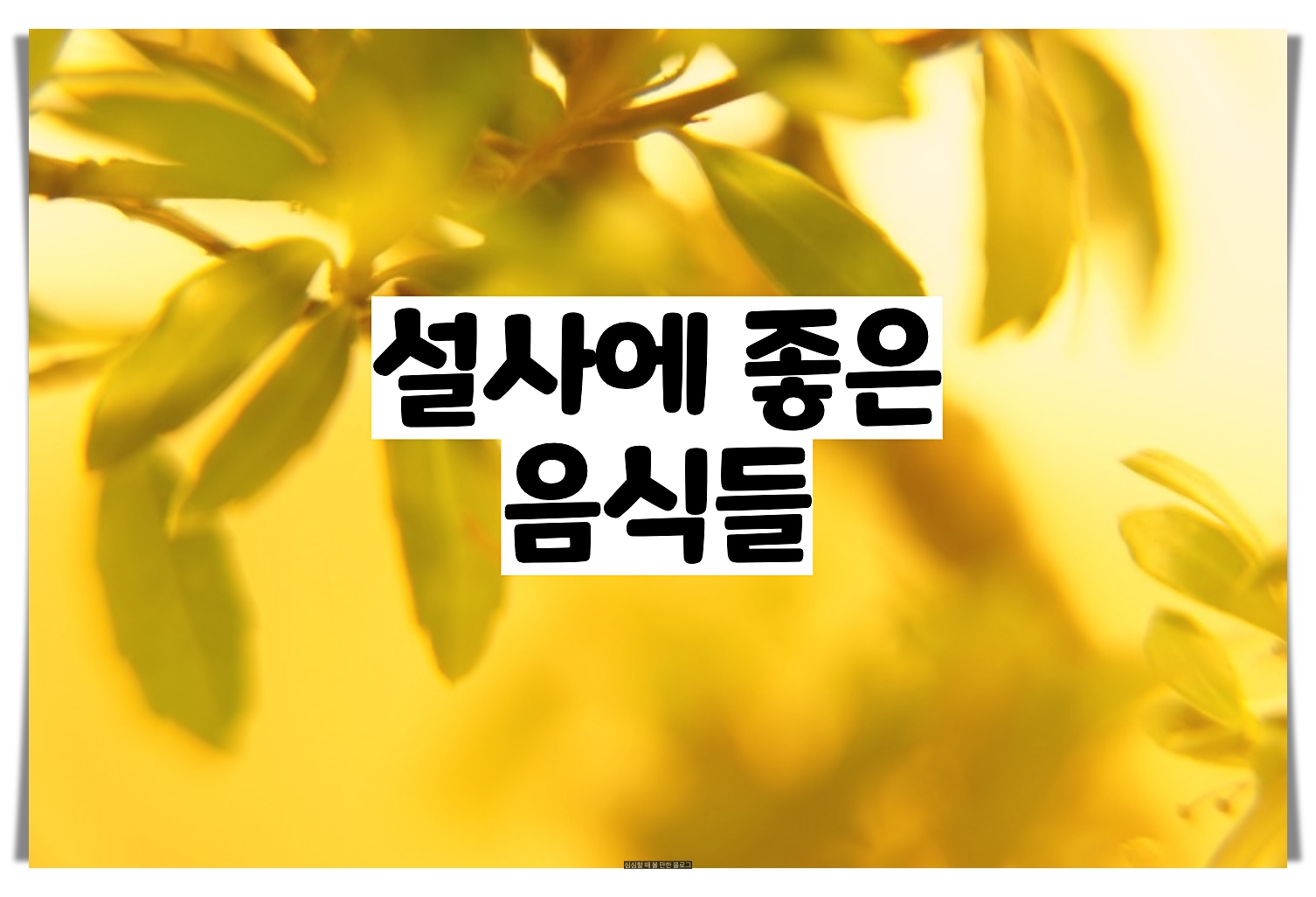  설사에 좋은 음식 - 쉽게 구할 수 있는 것들