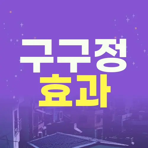 구구정 효과