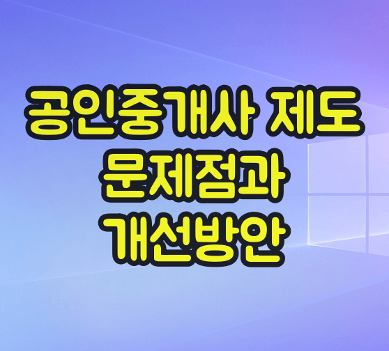 공인중개사 제도 문제점