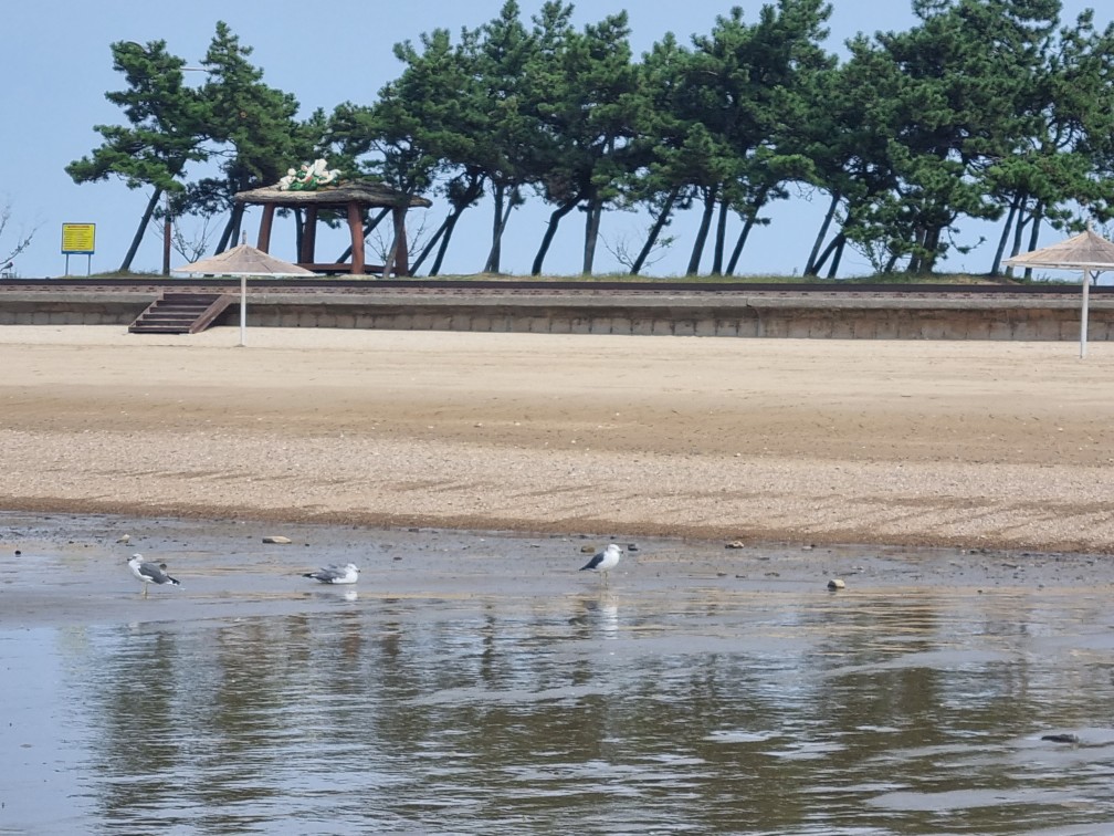 군산선유도