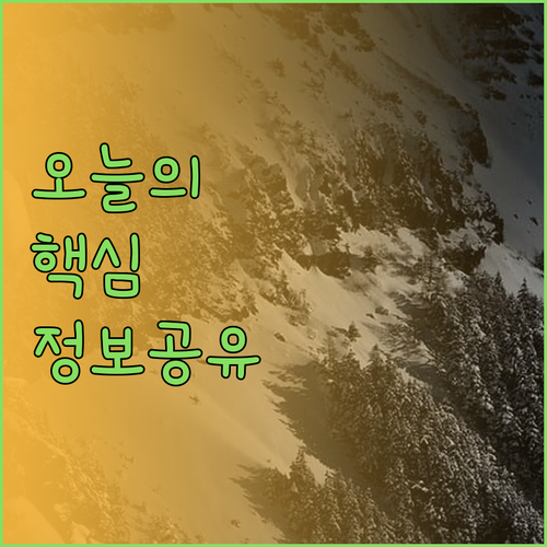 리스본 호스텔 탐험! 깨끗하고 저렴한