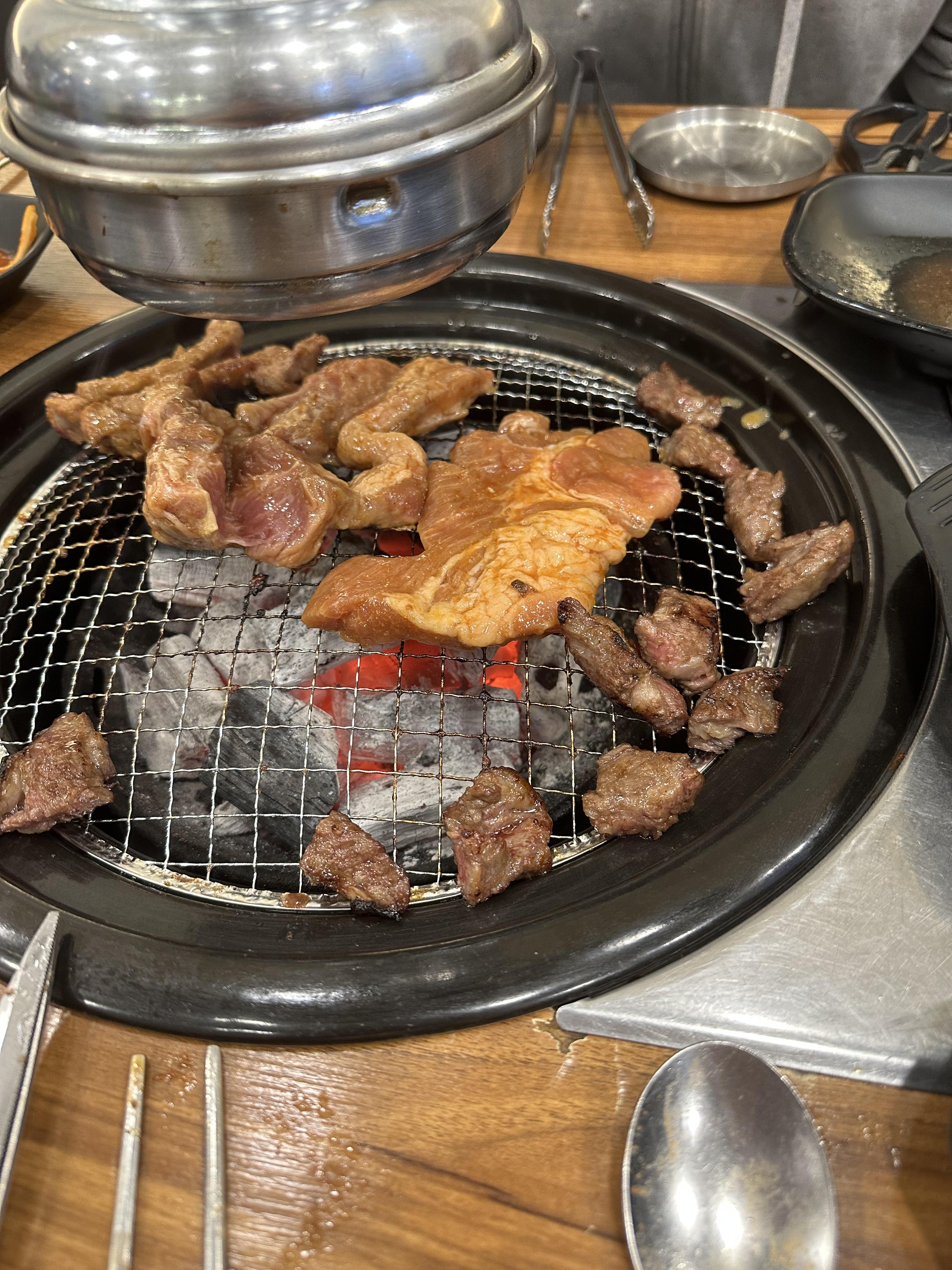 황금부엉이 이미지