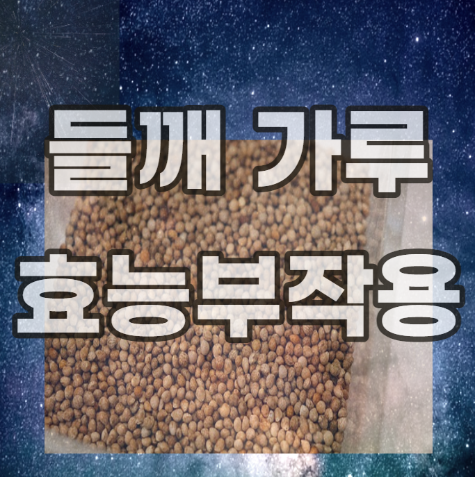 들깨-가루-효능-부작용