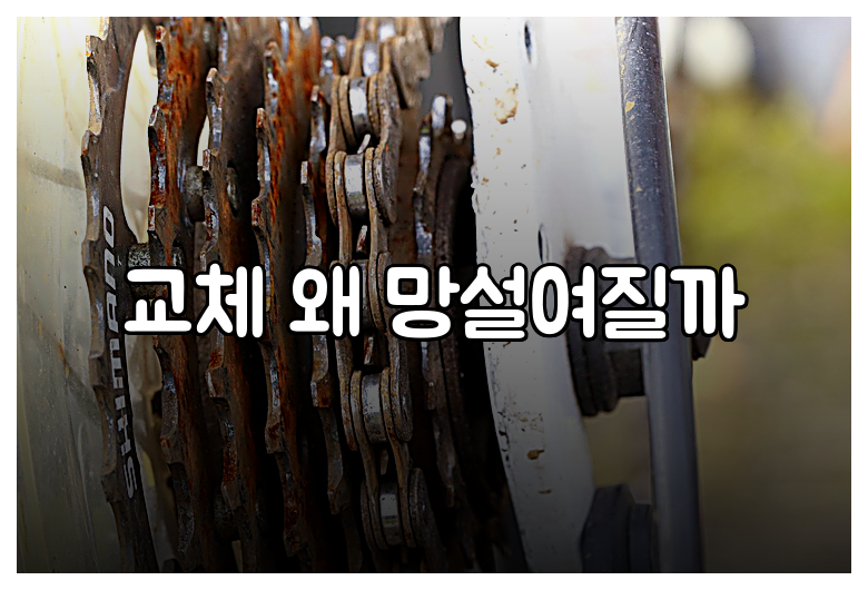 교체 왜 망설여질까
