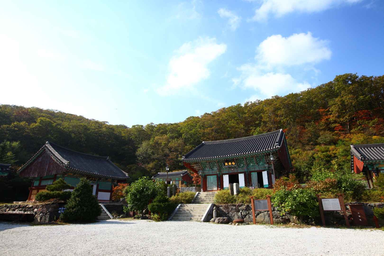 안국사