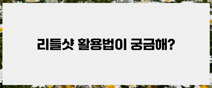이제는 필수! 다이소 리들샷 사용법과 관리법