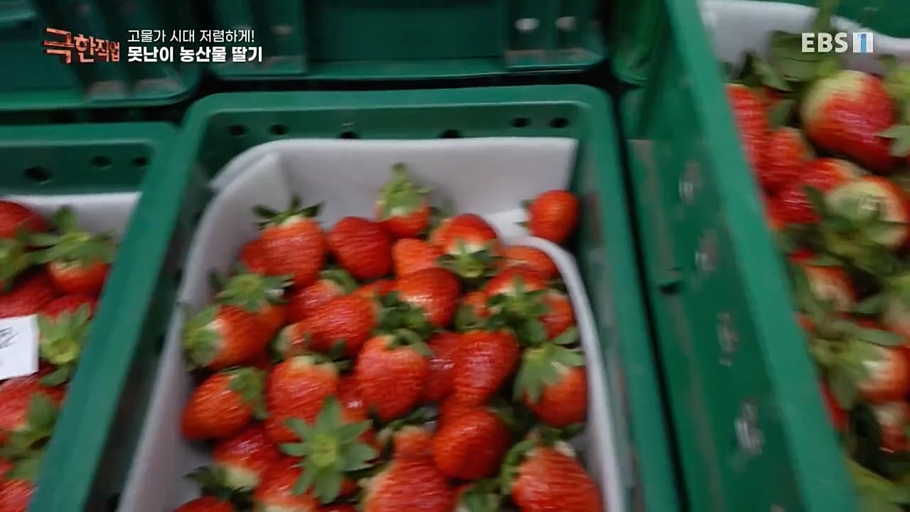 극한직업.E1046.221232p-NEXT.mp4_20230103_200853.350.jpg