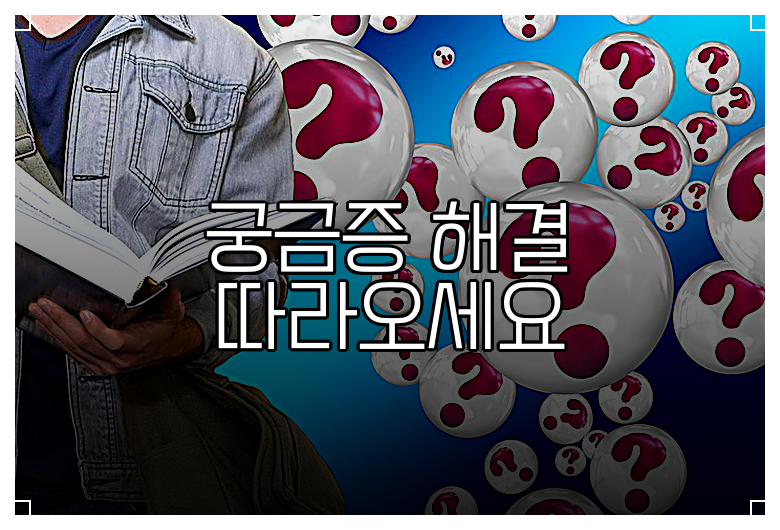 궁금증 해결 따라오세요