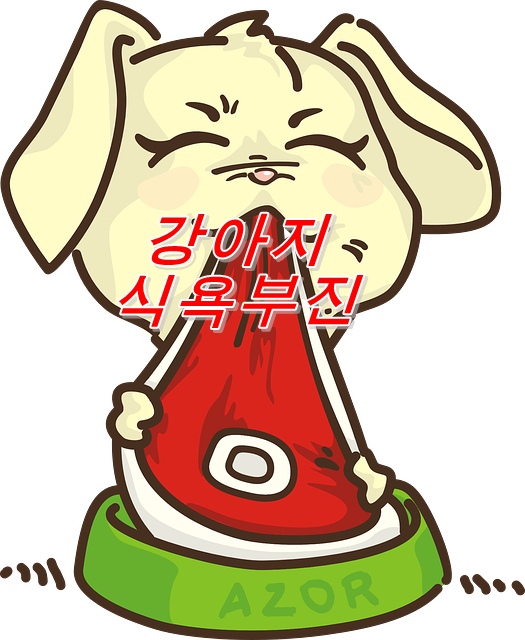  개가 식욕부진에 빠졌을 때 어떻게 해야 하지?원인과 대책