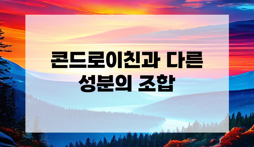 콘드로이친과 다른 성분의 조합