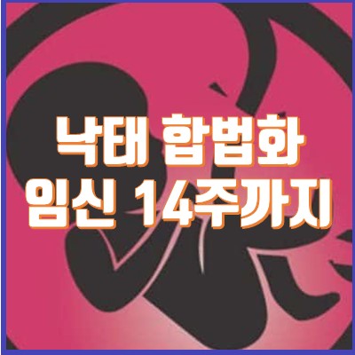  낙태 합법화, 임신 14주까지는 허용 추진 :: 낙태죄 폐지