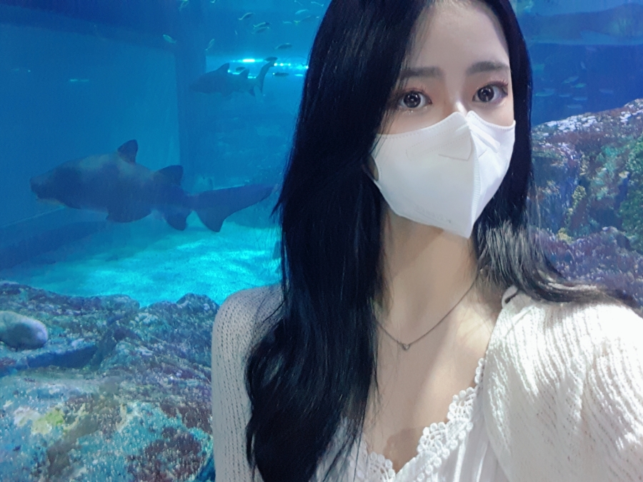 부산mbc뉴스 부산 16