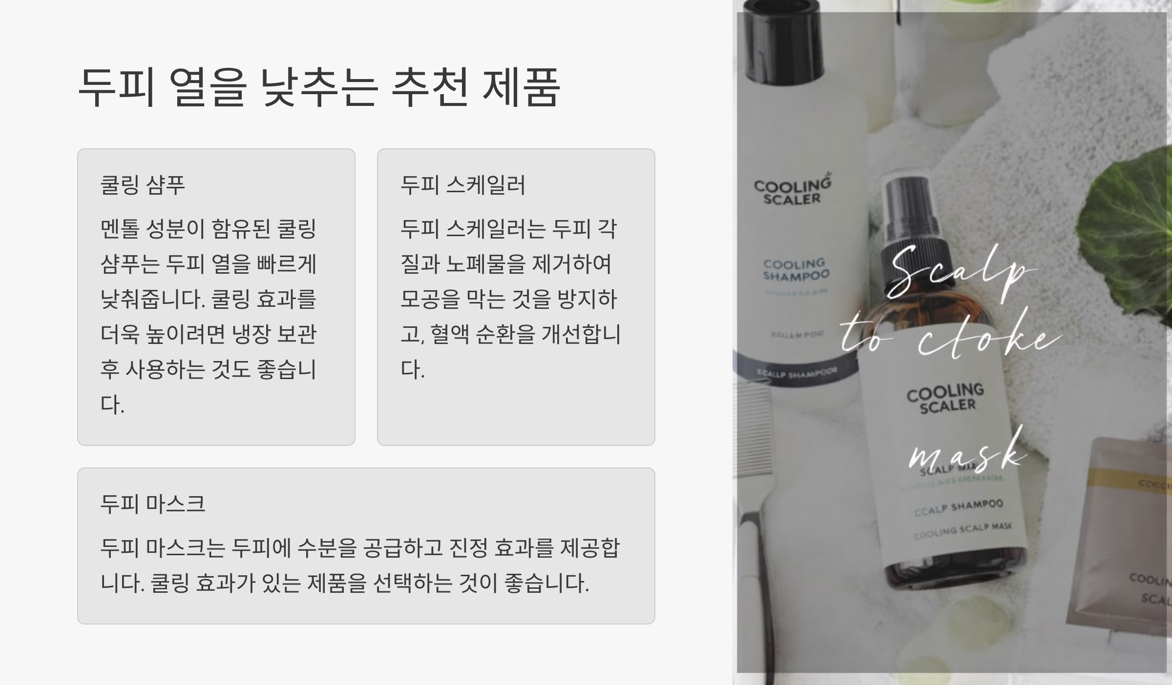 두피 열을 낮추는 추천 제품