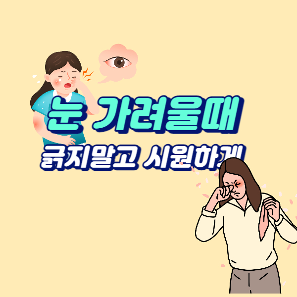  눈가려울때 산테안약 눈피로감 안약추천 시원한안약