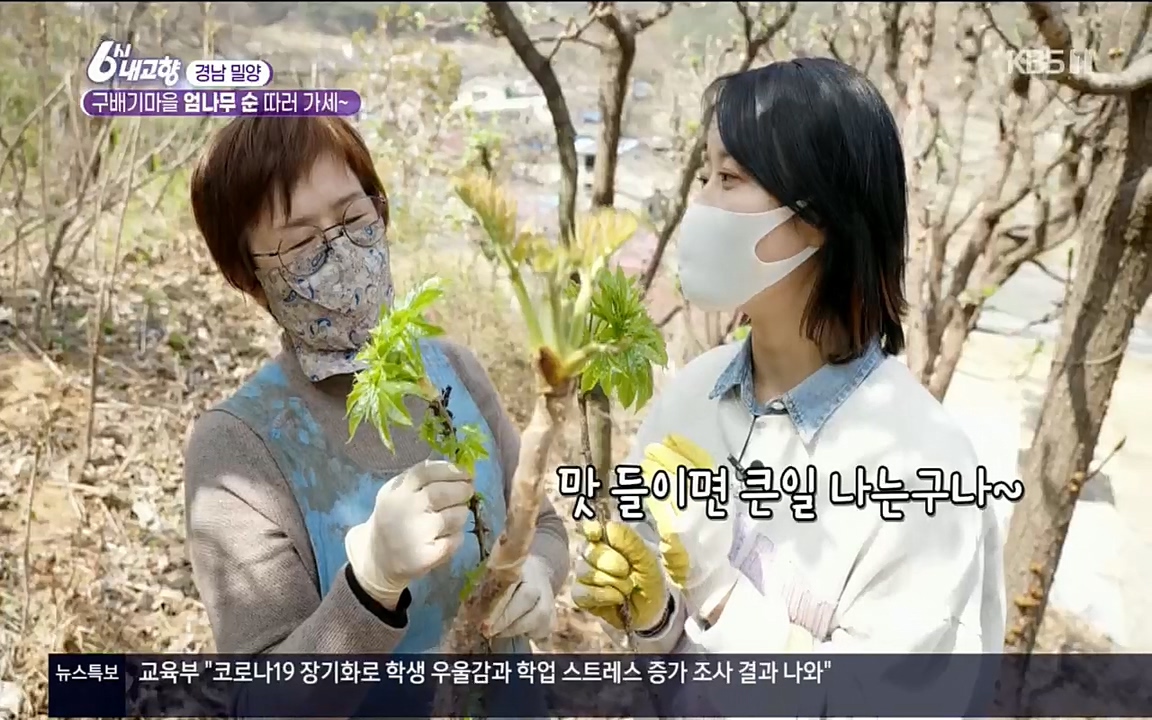 6시 내고향.E7510.220414p.H264-F1RST.mp4_20220419_182312.763.jpg