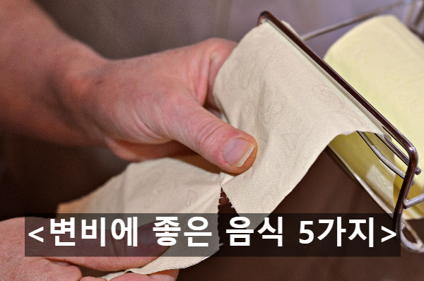  변비에 좋은 음식 5가지