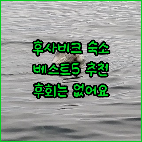 후사비크 숙소 추천 베스트 5 후기!