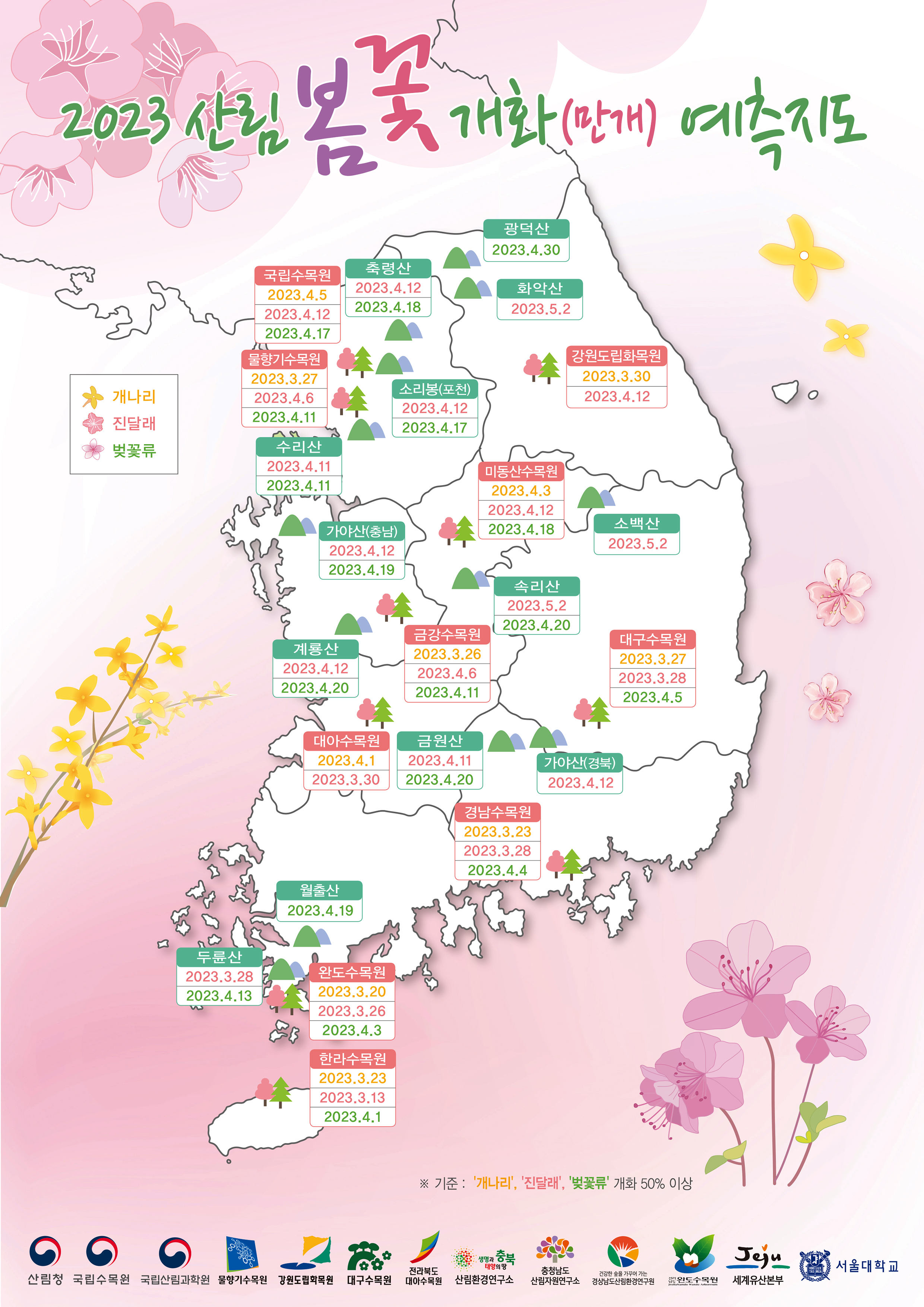  봄꽃의 화려한 축제, 우리나라 봄꽃 개화 시기 알아보기