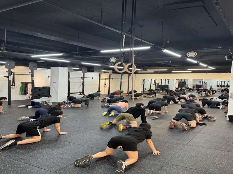 3.1 크로스핏 GK의 프로그램