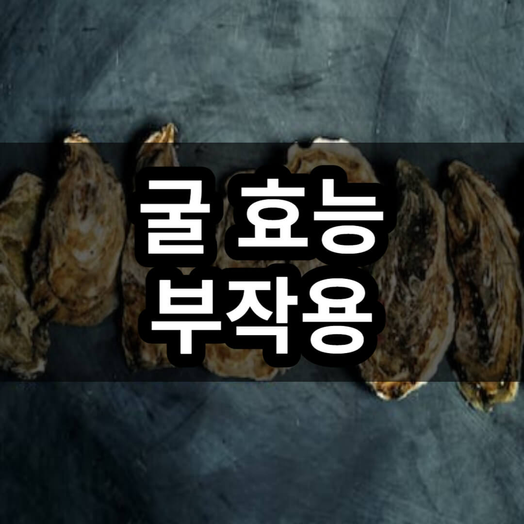 굴 효능 부작용