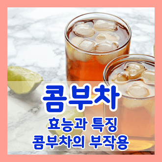 콤부차의 효능과 특징 콤부차의 부작용