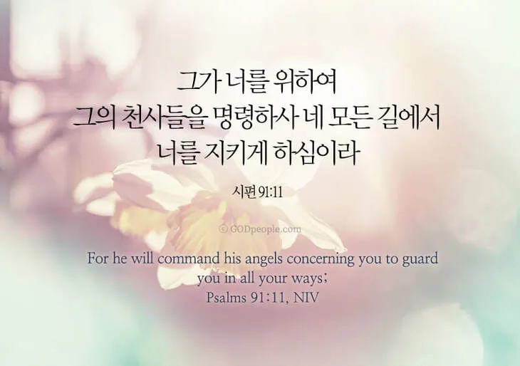 시편 91편 잠언 묵상 말씀_7