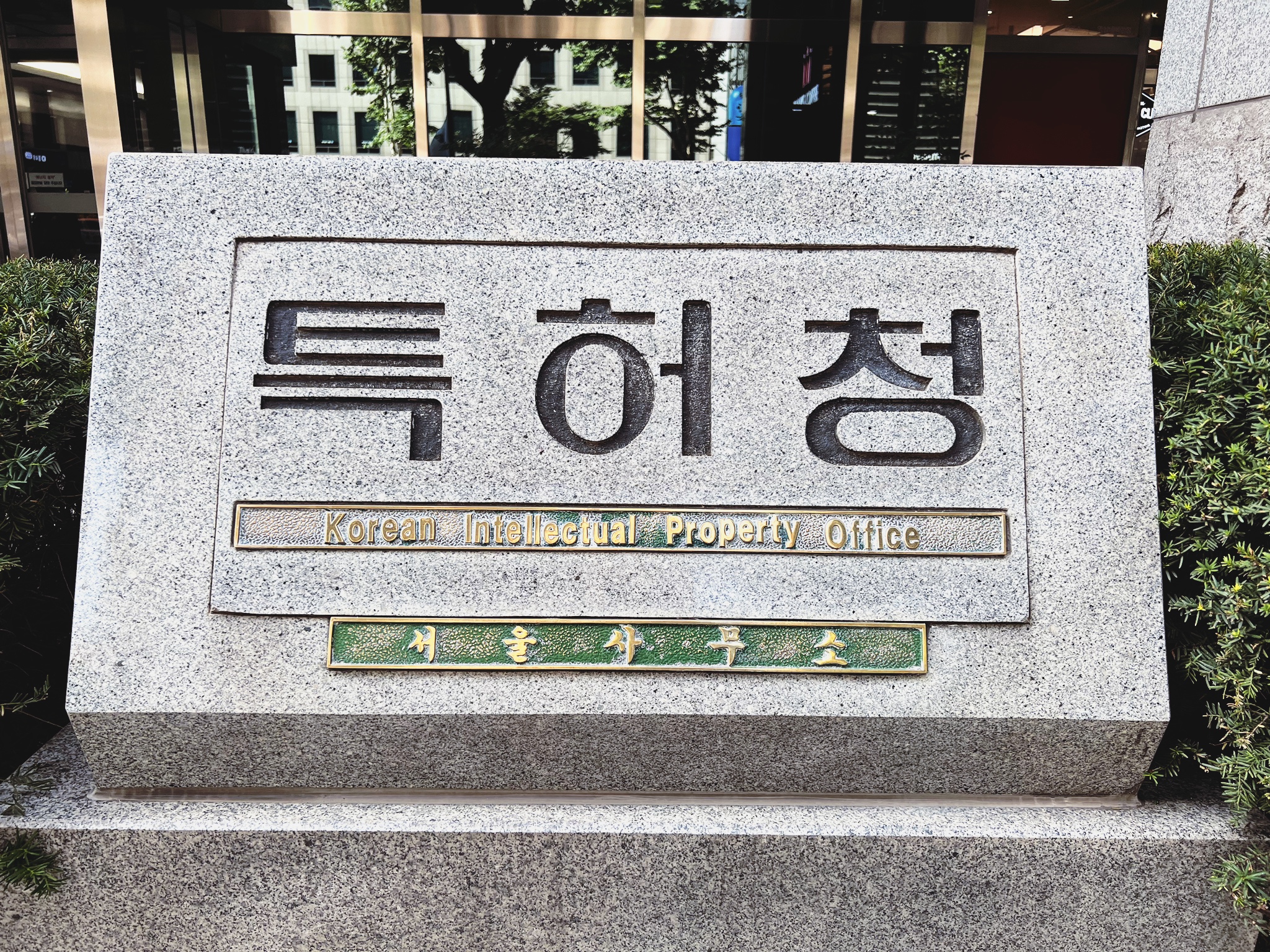  블루보틀 역삼 카페 | 디카페인 아이스 아메리카노 | KB 유앤디카드 20% 적립 할인