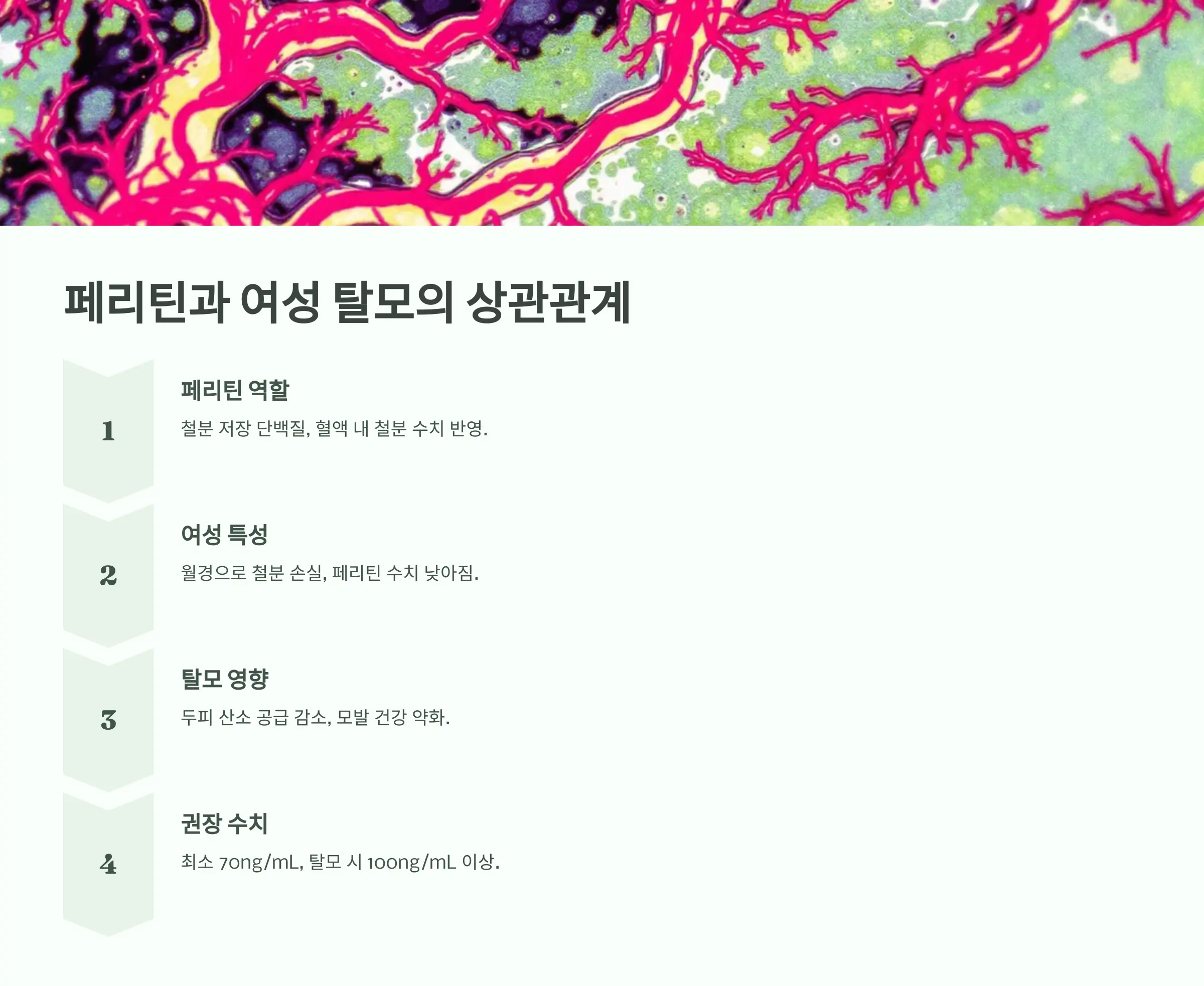 여성 탈모 극복한 40대 주부의 영양제 조합법 - 페리틴 수치부터 체크하세요