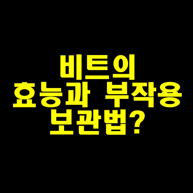  비트 효능과 주의사항 부작용