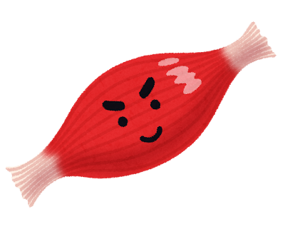 근육