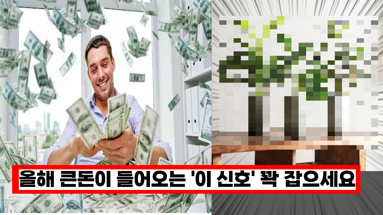  큰돈이 들어오는 신호 바로 '이것' 절대 놓치지 말고 꽉 잡으세요.