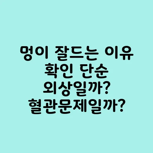 멍이 잘드는 이유 확인 단순 외상일까? 혈관문제일까?