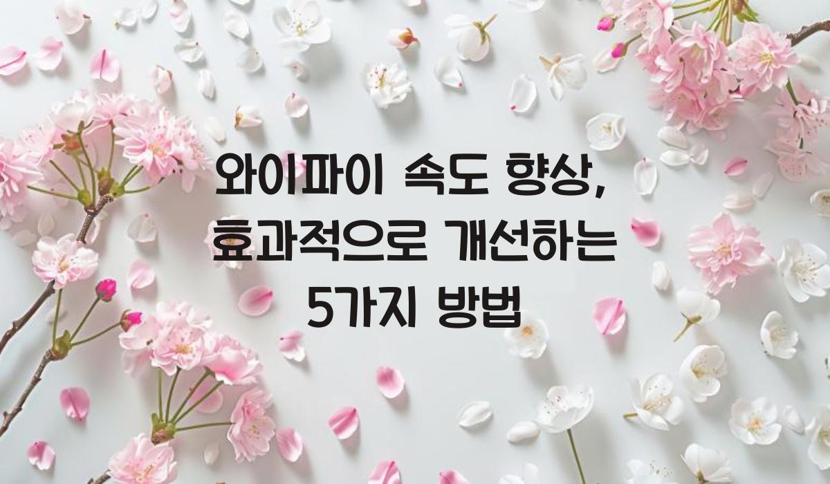 와이파이 속도 향상