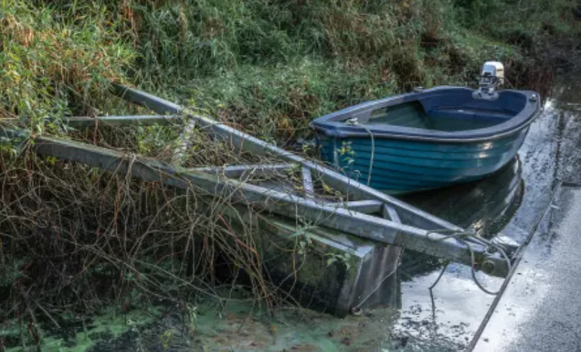 LoughNeaghCrisis Battling Algal Blooms and Ownership Disputes